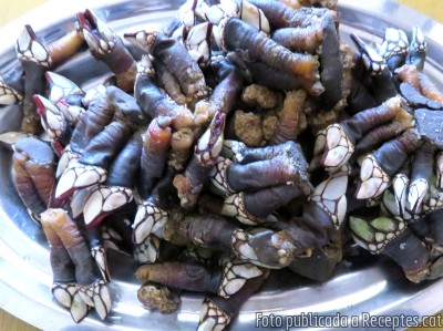 Marisc fresc bullit (nècores, bous de mar, escamarlans i peus de cabra comú o percebes)